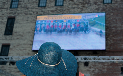 Preakness at the Piazza