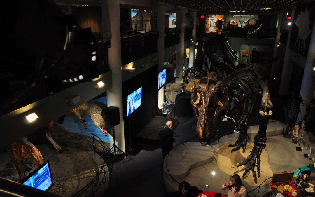 Campus Philly's Annual Meeting in Dinosaur Hall at the Academy of Natural Sciences